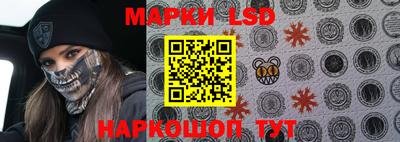 дмт Сланцы
