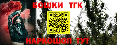 дмт Сланцы