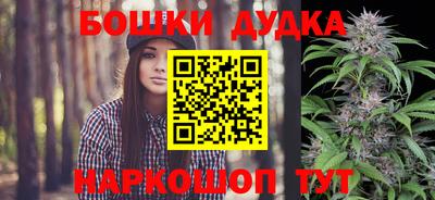 дмт Сланцы
