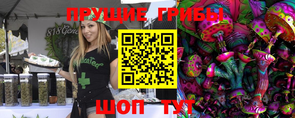Балашиха  Псилоцибиновые грибы прущие грибы  Вход с VPN 